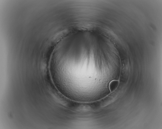 X0000113200749200909171513