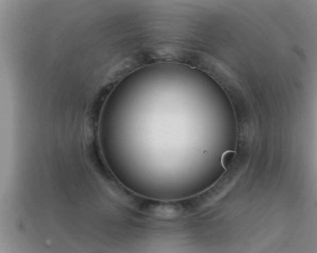 X0000113200751200909171513