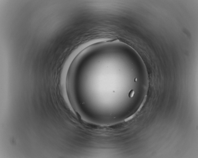 X0000113200752200909171513