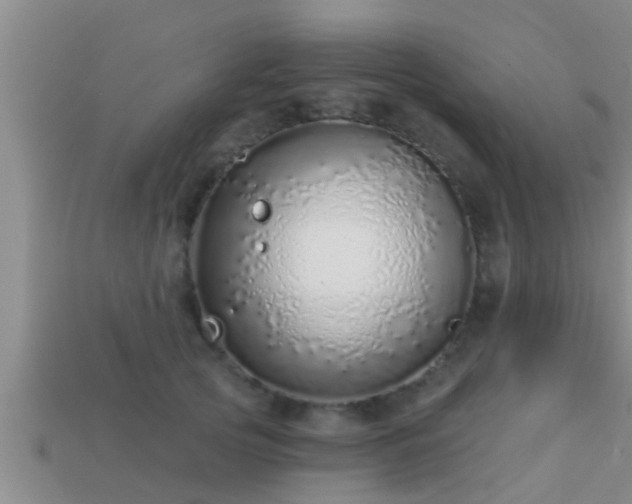 X0000113200753200909171513