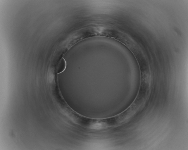 X0000113200754200909171513