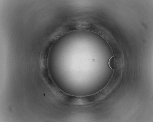 X0000113200755200909171513