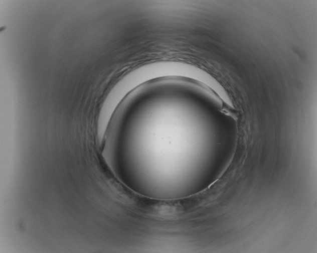 X0000113200756200909171513