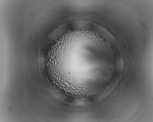 X0000113200757200909171513