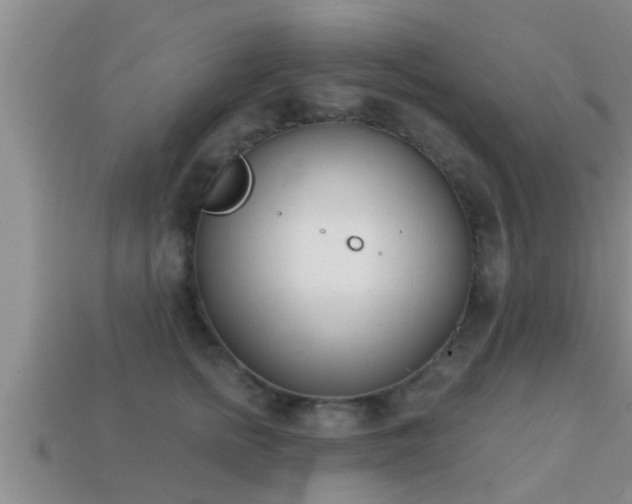 X0000113200758200909171513