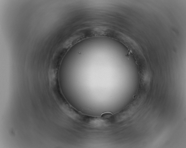 X0000113200759200909171513