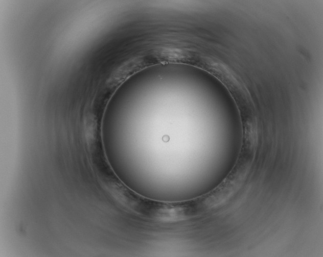 X0000113200760200909171513