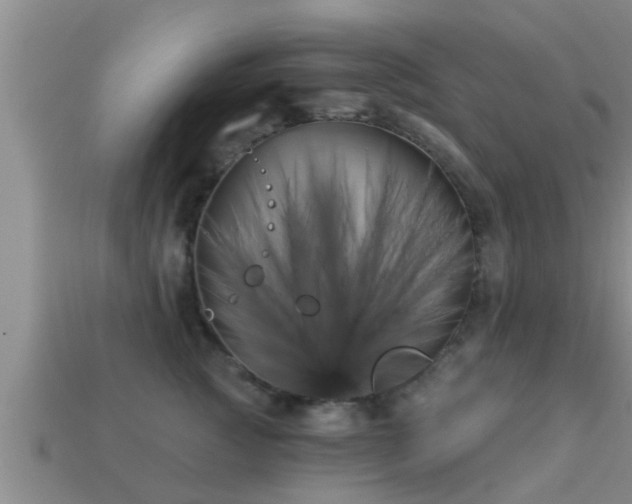 X0000113200761200909171513