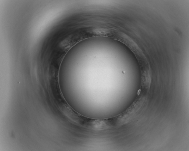 X0000113200762200909171513