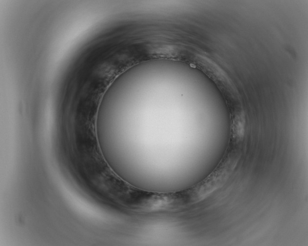 X0000113200764200909171513