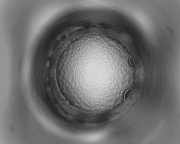 X0000113200765200909171513