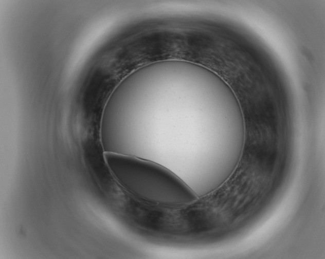 X0000113200766200909171513