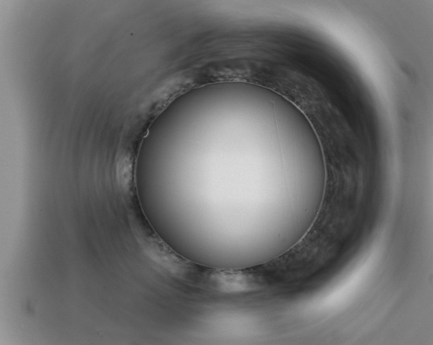 X0000113200767200909171513