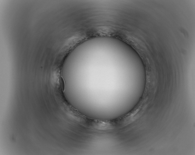 X0000113200768200909171513