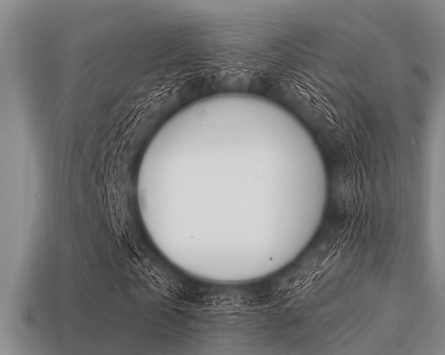 X0000113200769200909171513