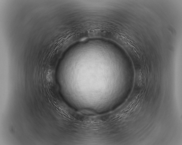 X0000113200770200909171513