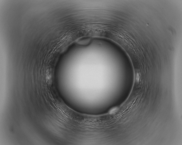 X0000113200771200909171513