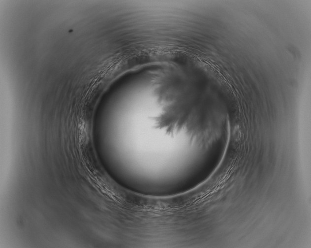 X0000113200772200909171513