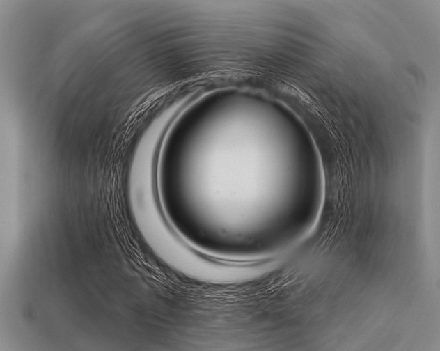 X0000113200773200909171513