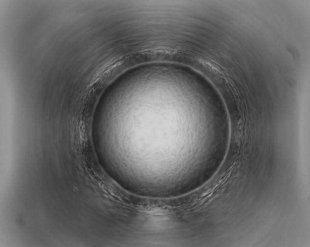 X0000113200774200909171513