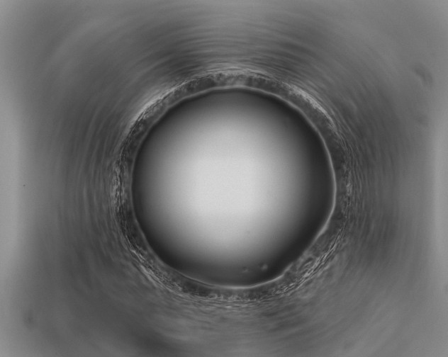 X0000113200775200909171513