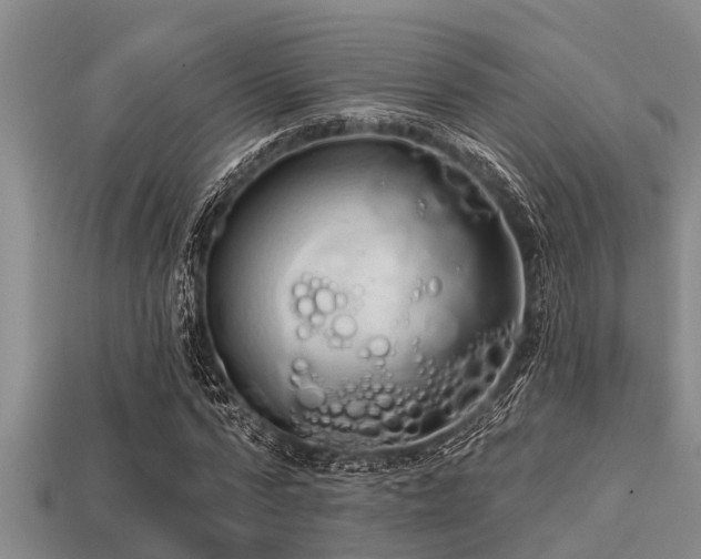 X0000113200776200909171513