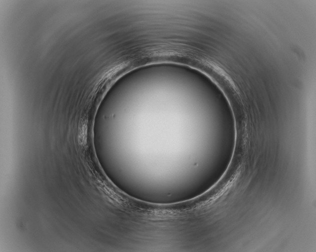 X0000113200777200909171513