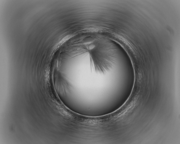 X0000113200778200909171513