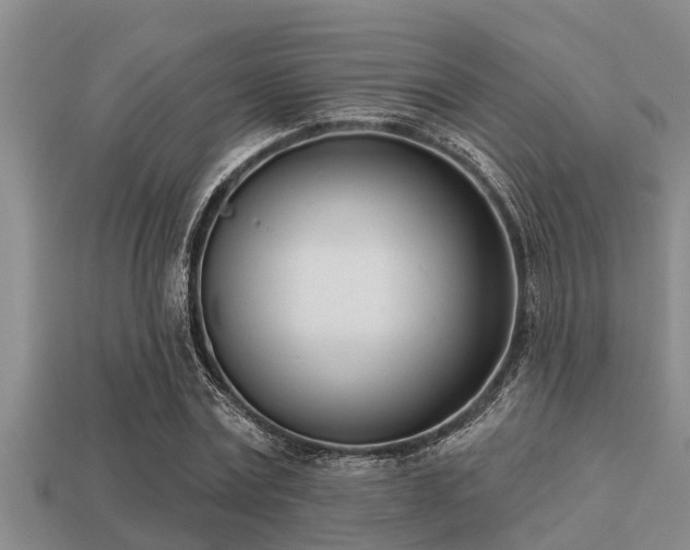 X0000113200779200909171513