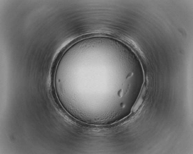 X0000113200780200909171513