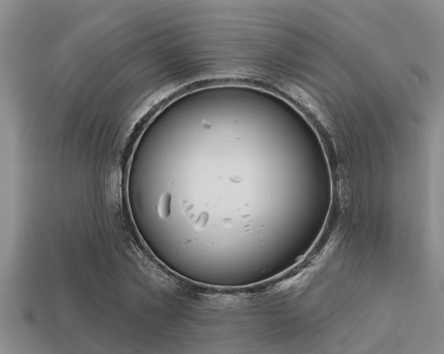 X0000113200781200909171513