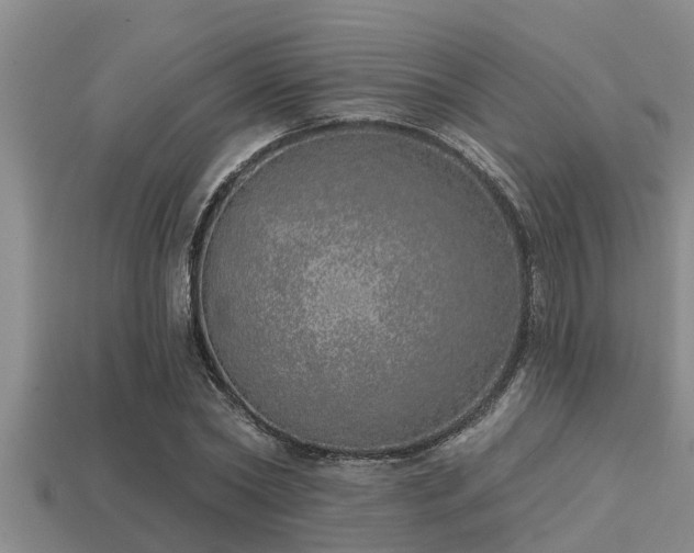 X0000113200782200909171513