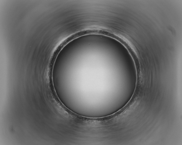 X0000113200783200909171513