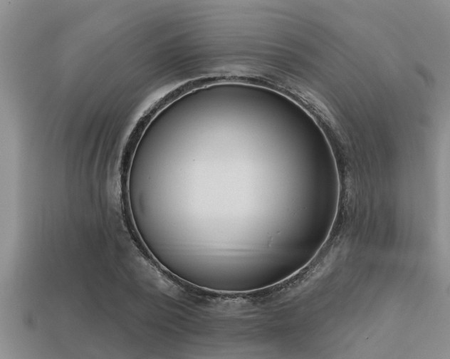 X0000113200784200909171513