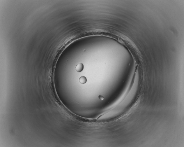 X0000113200785200909171513