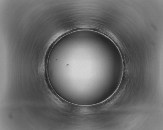 X0000113200787200909171513