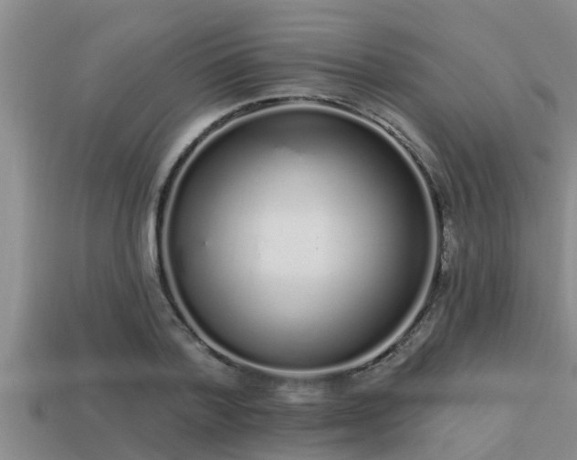 X0000113200788200909171513