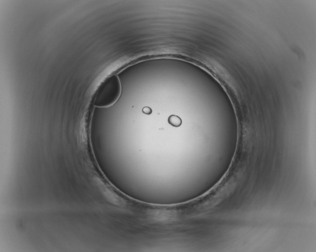 X0000113200789200909171513