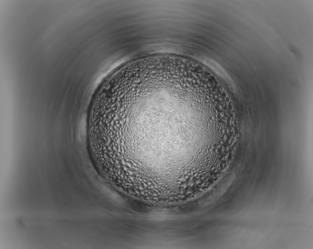 X0000113200790200909171513