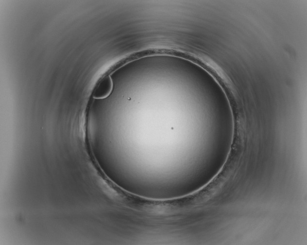 X0000113200791200909171513