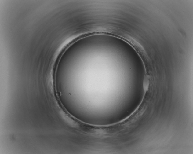 X0000113200792200909171513