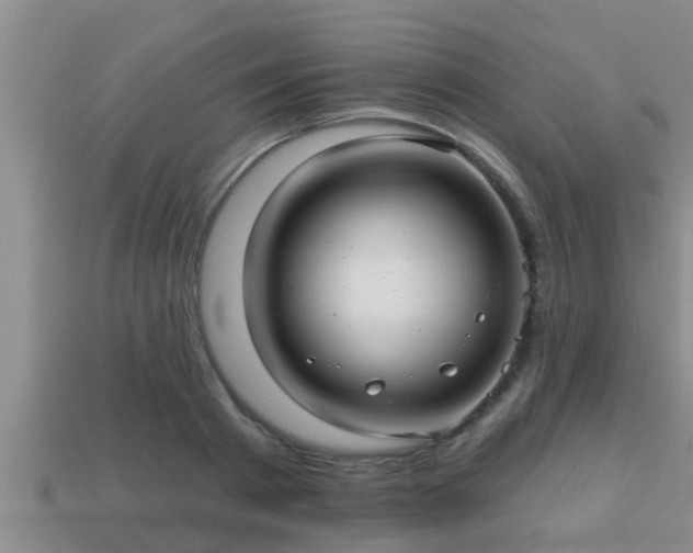 X0000113200793200909171513