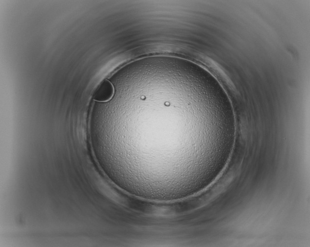 X0000113200794200909171513