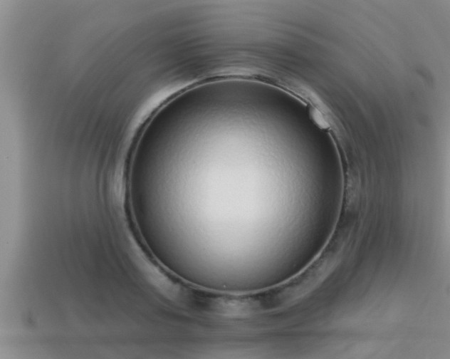 X0000113200795200909171513