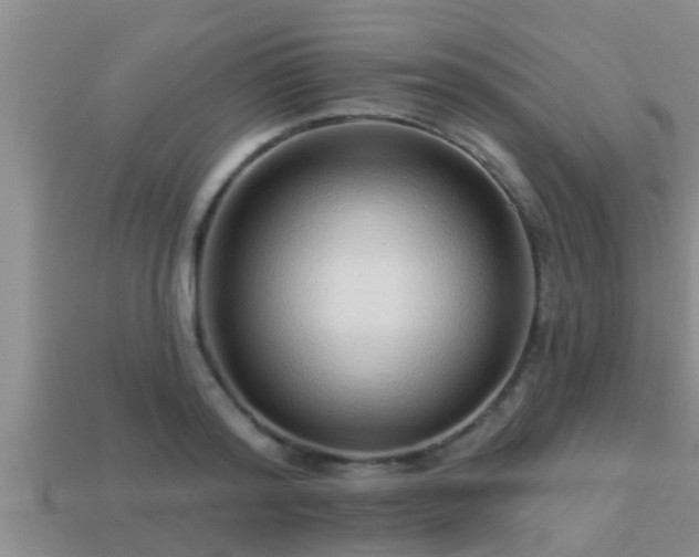 X0000113200796200909171513