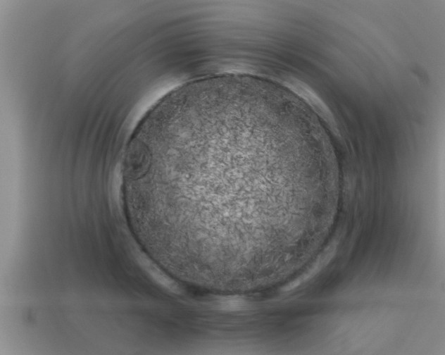 X0000113200798200909171513