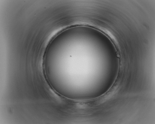 X0000113200799200909171512