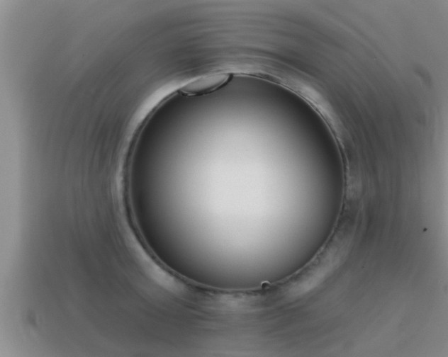 X0000113200803200909171512