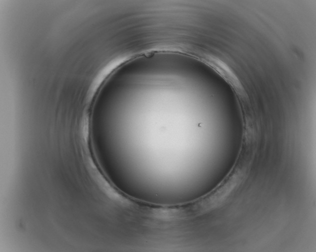 X0000113200804200909171512