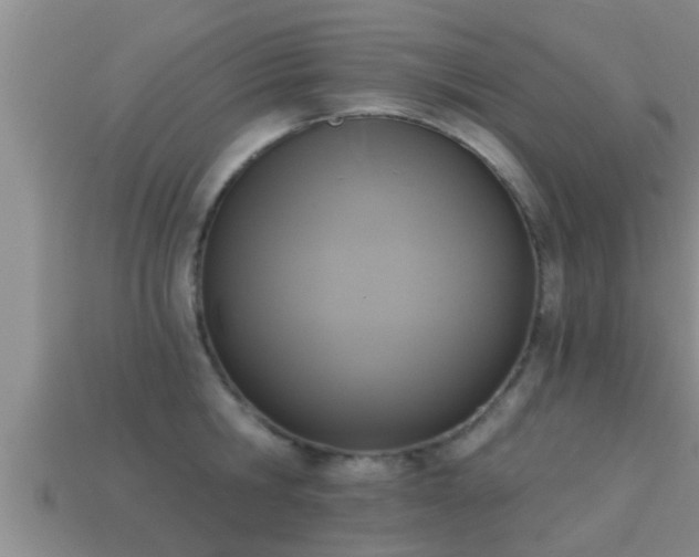 X0000113200806200909171512